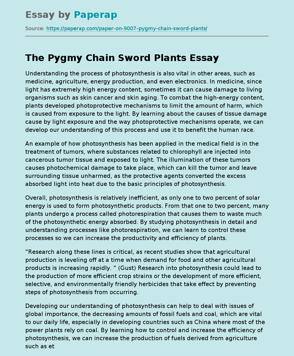 The Pygmy Chain Sword Plants