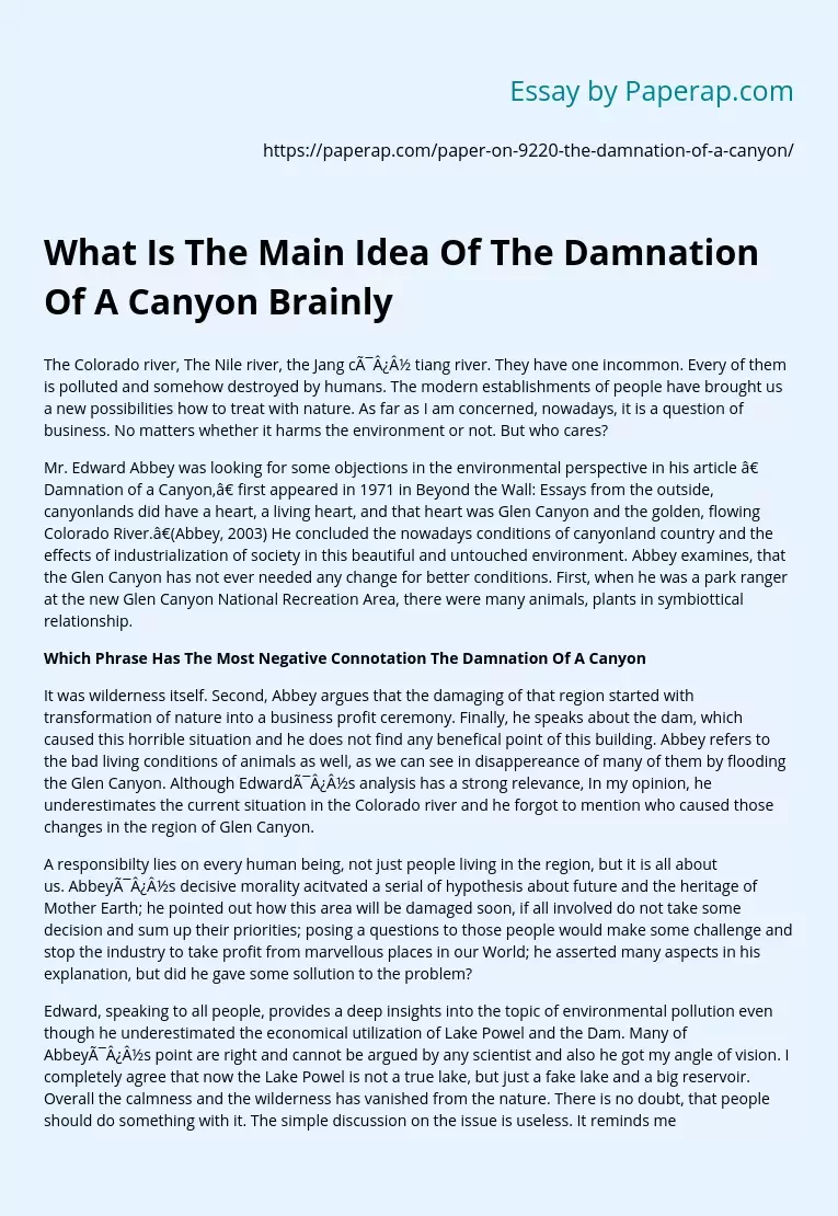 What Is The Main Idea Of The Damnation Of A Canyon Brainly