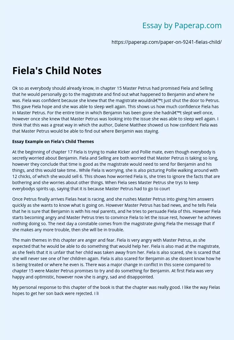 Essay Example on Fiela's Child Themes