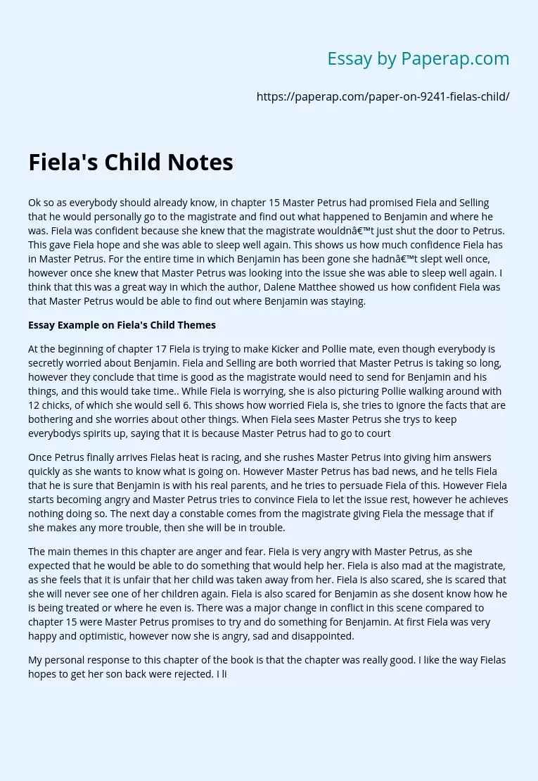 essay-example-on-fiela-s-child-themes-free-essay-example