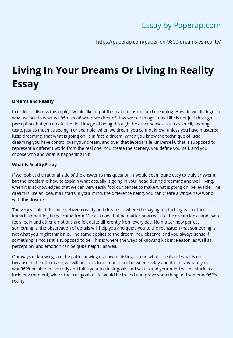 Living In Your Dreams Or Living In Reality Essay