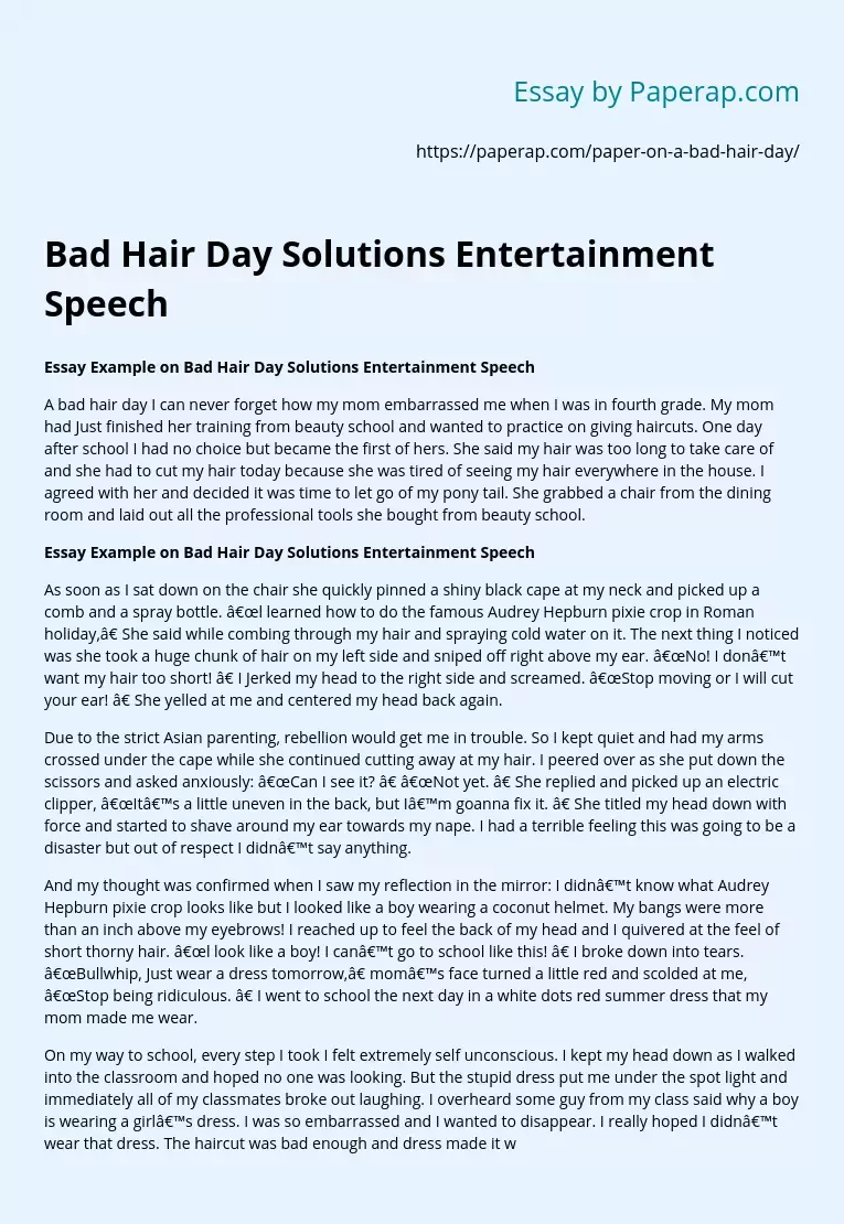 Bad Hair Day Solutions Entertainment Speech