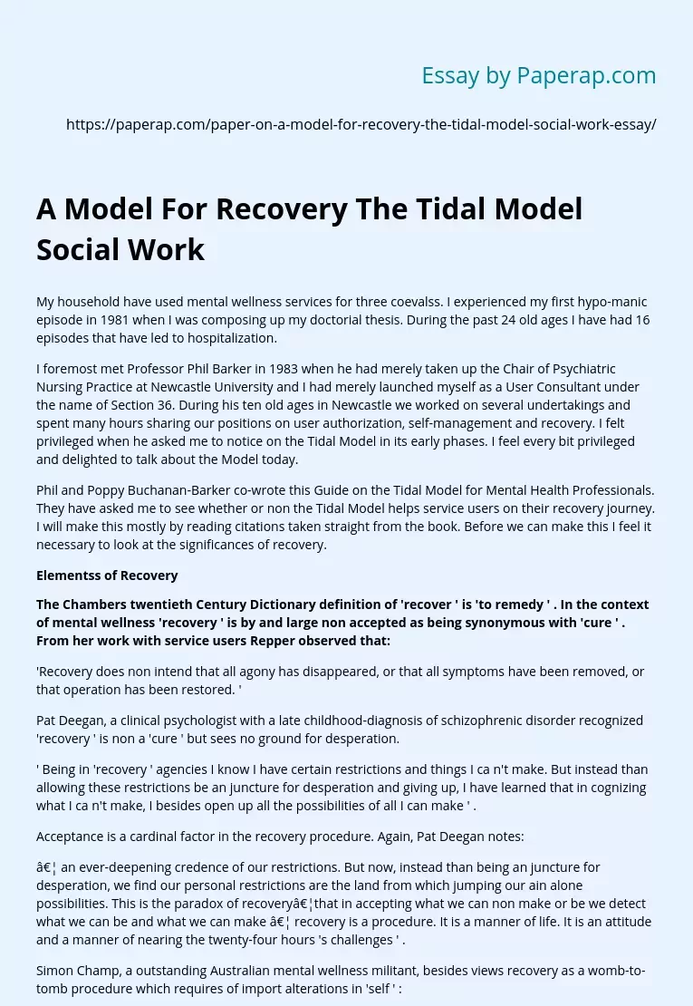 A Model For Recovery The Tidal Model Social Work