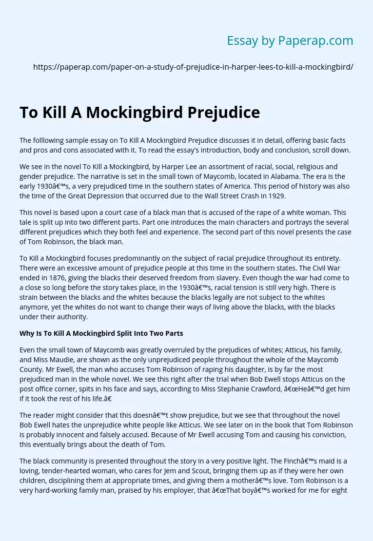 Реферат: Injustice To Kill A Mockingbird Essay Research