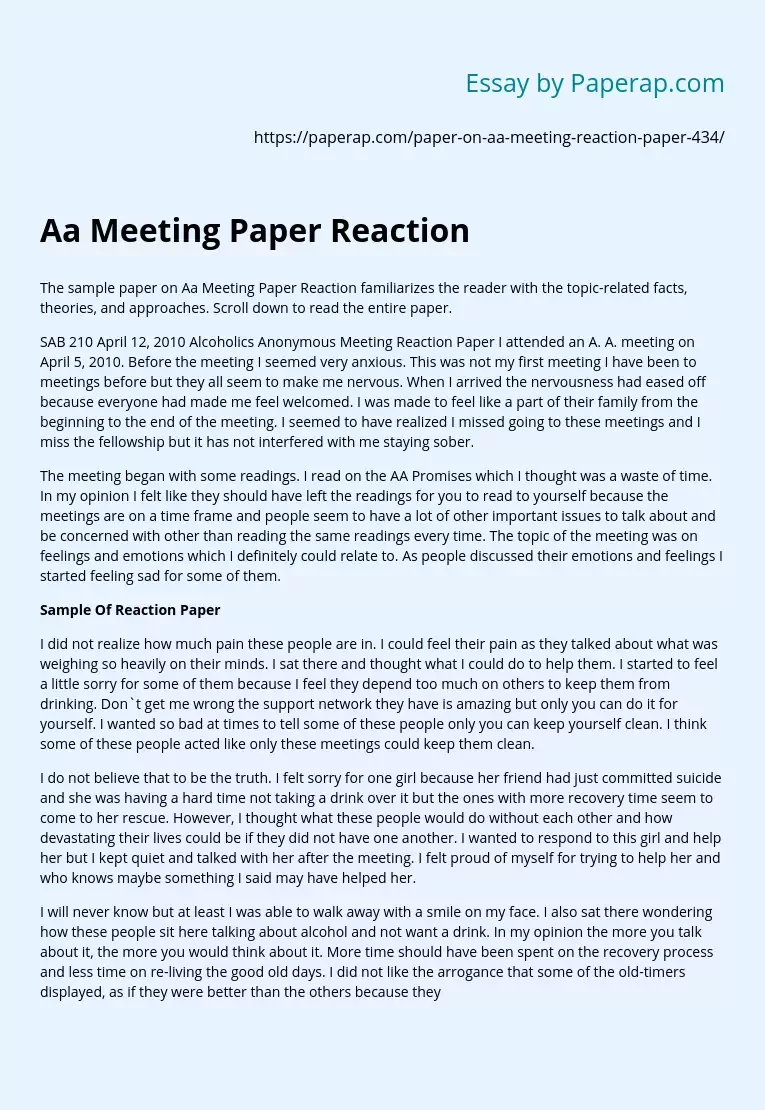Aa Meeting Paper Reaction