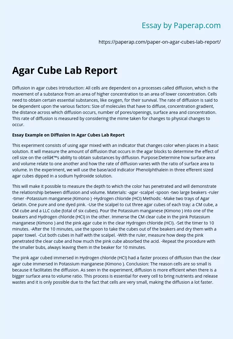 Agar Cube Lab Report