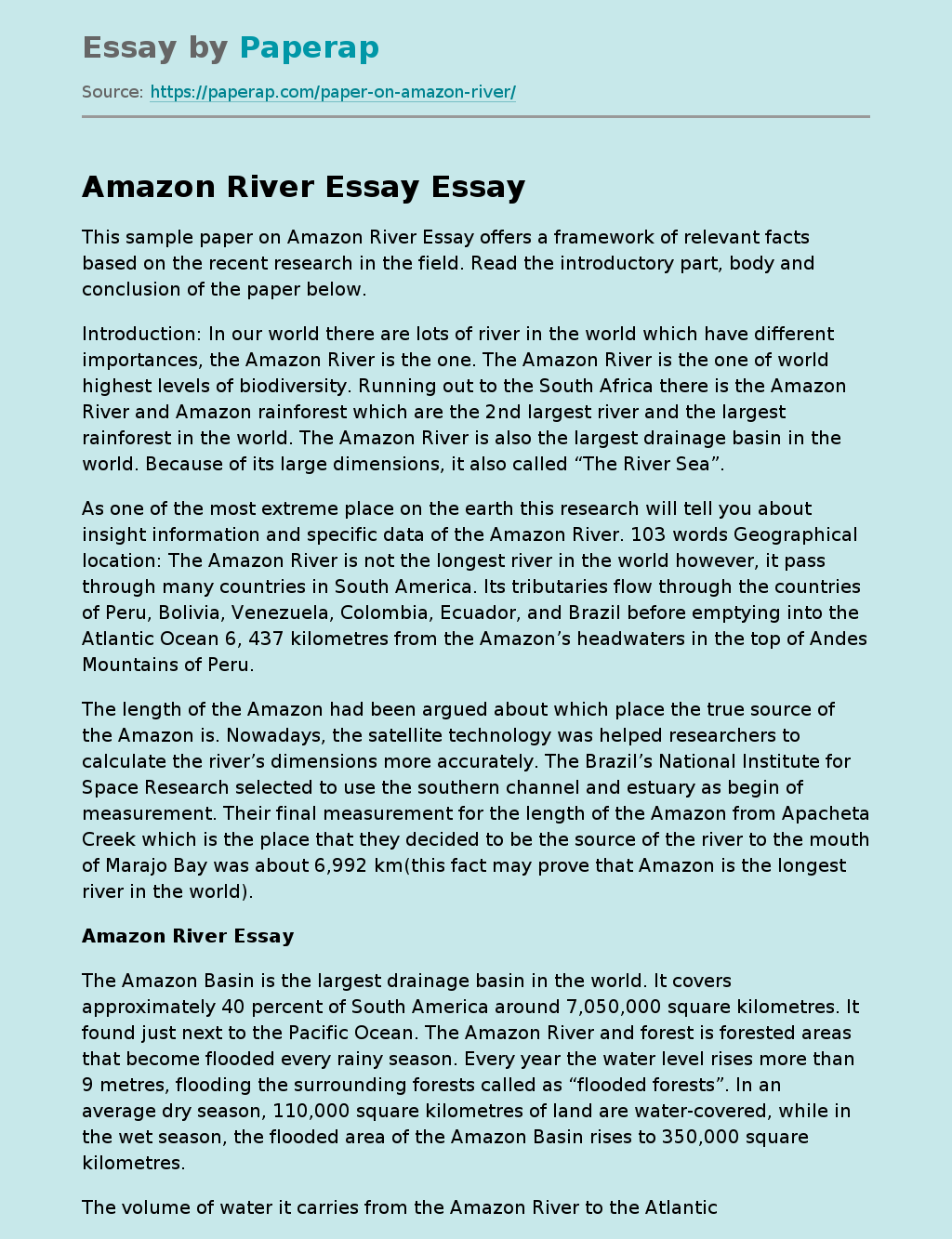 essay about amazon