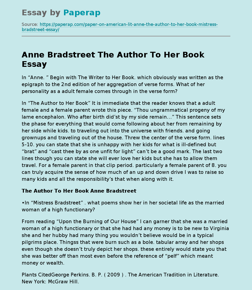 anne-bradstreet-the-author-to-her-book-free-essay-example