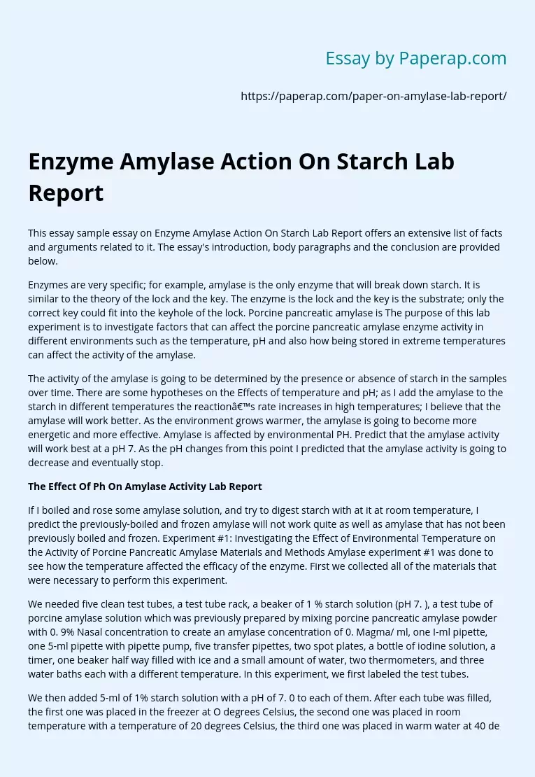 Enzyme Amylase Action On Starch Lab Report