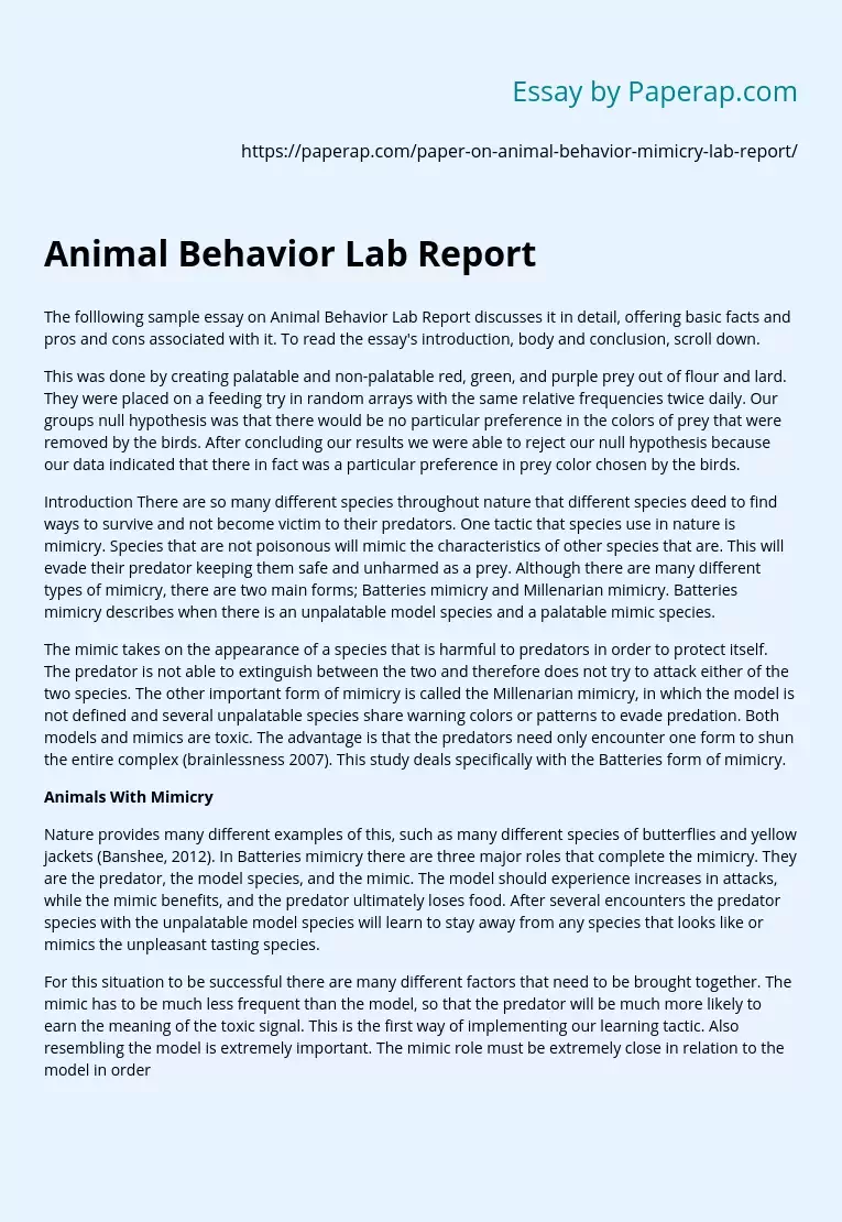 Animal Behavior Lab Report