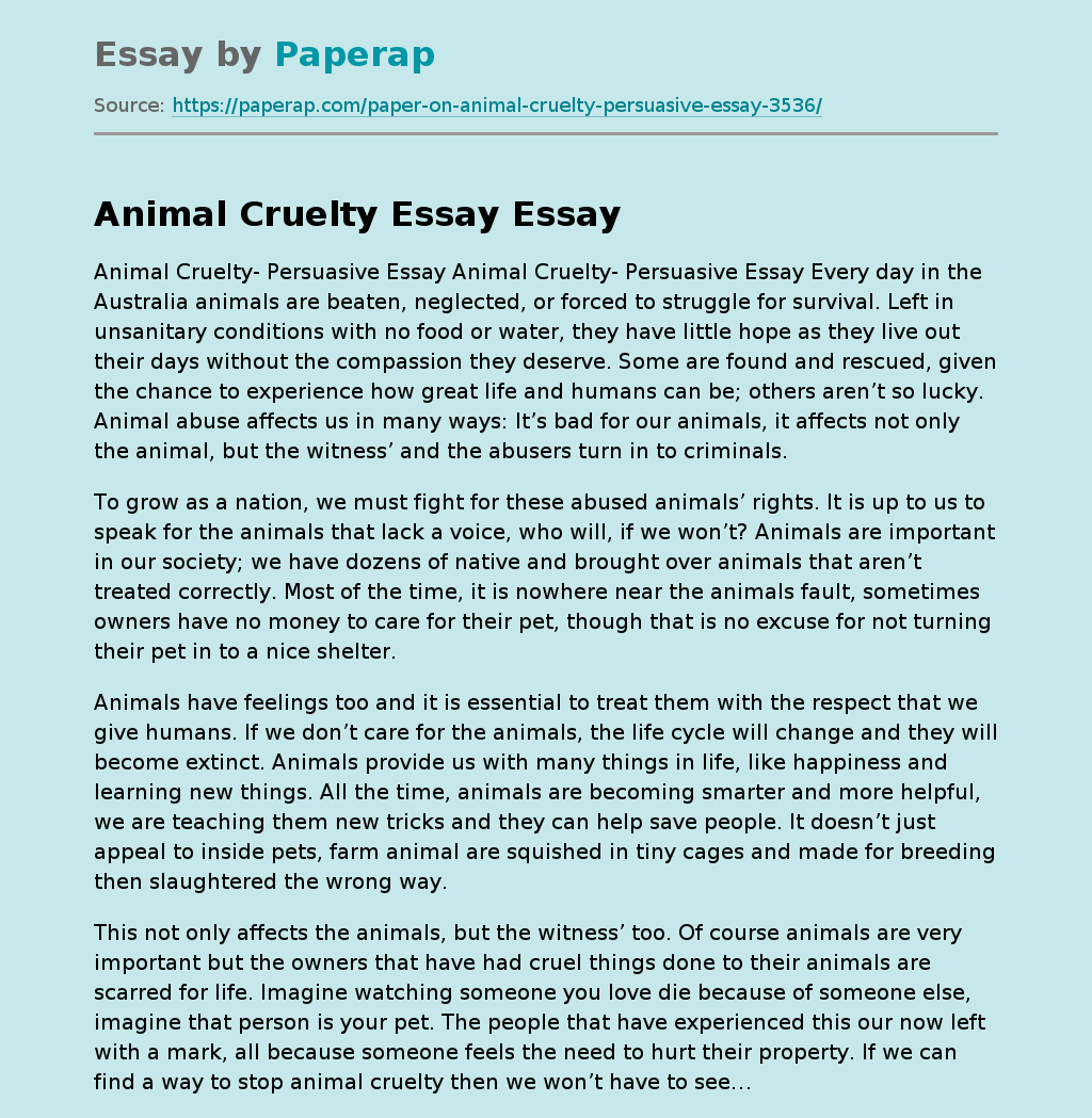 Animal Cruelty Speech Essay Example