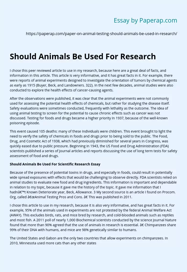 Should Animals Be Used For Research Free Essay Example