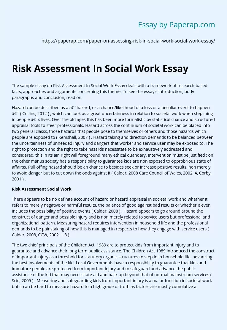 Risk Assessment In Social Work Essay