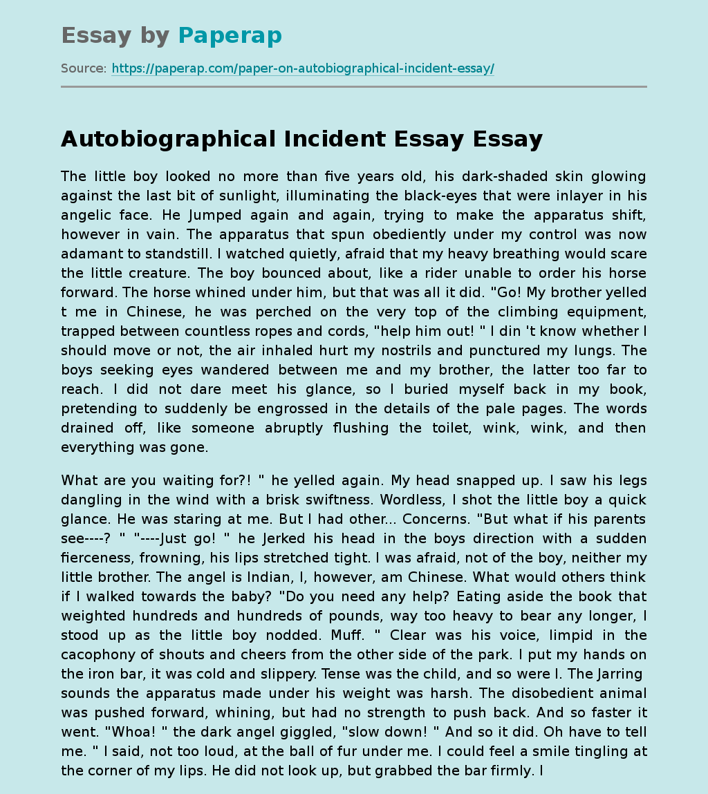 Autobiographical Incident Essay