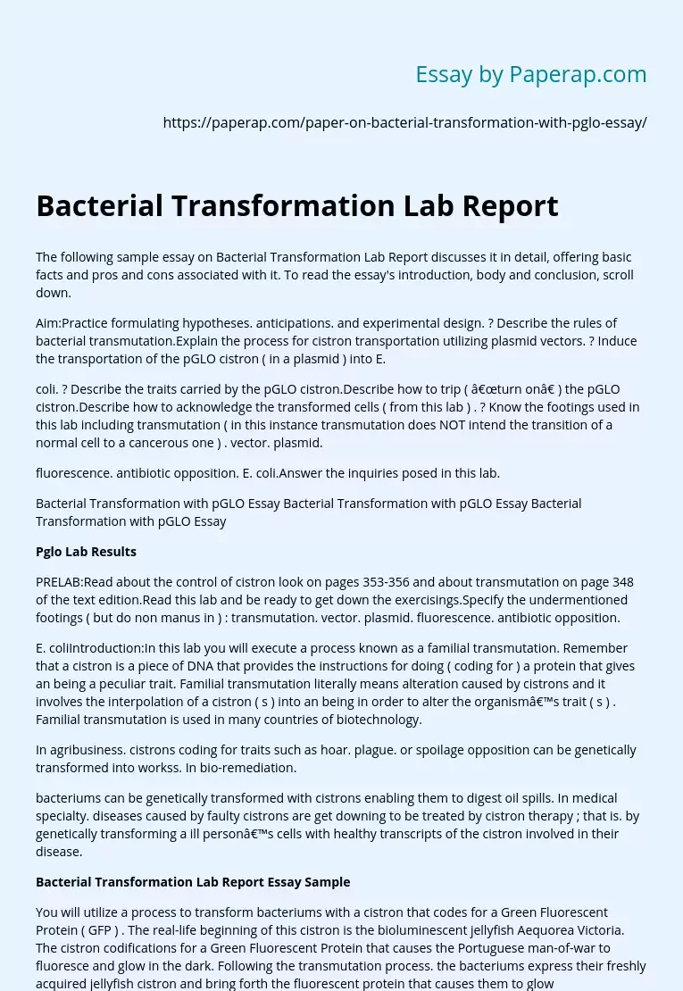 Bacterial Transformation Lab Report