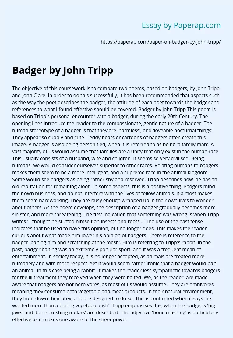Badger by John Tripp