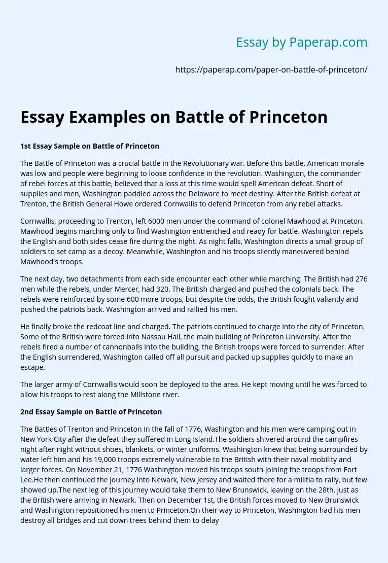 Essay Examples on Battle of Princeton