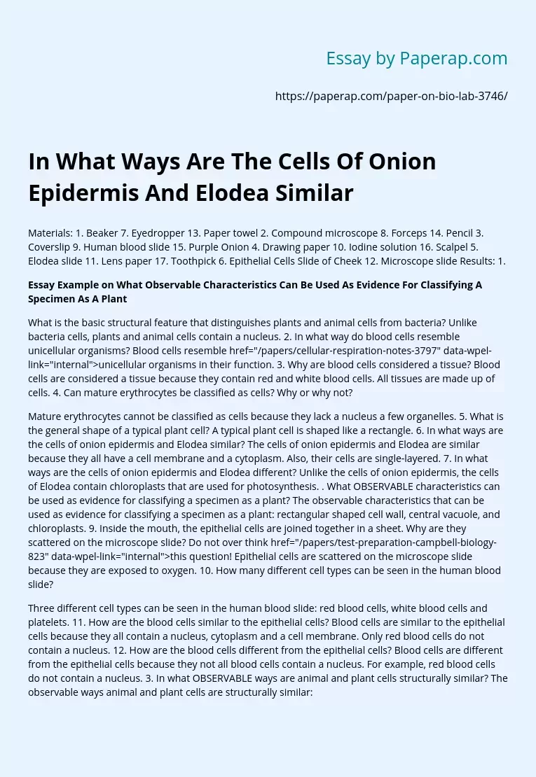 In What Ways Are The Cells Of Onion Epidermis And Elodea Similar