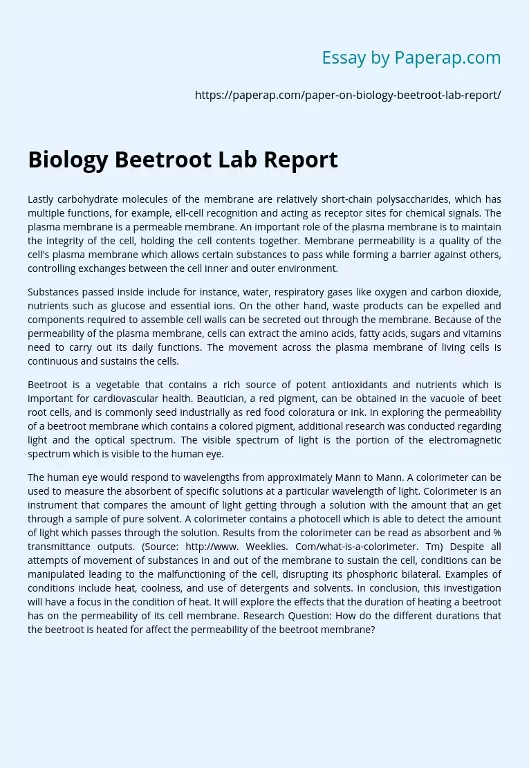 Biology Beetroot Lab Report