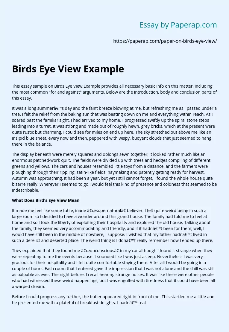 Birds Eye View Example