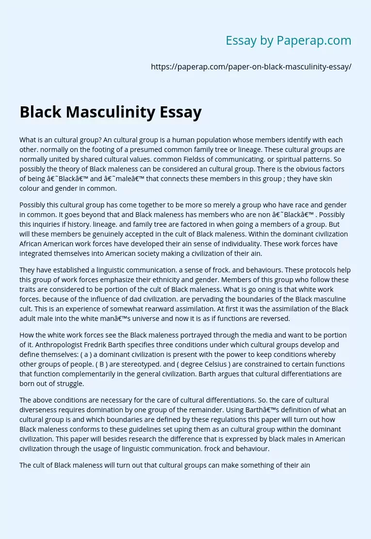 The Black Masculinity Essay