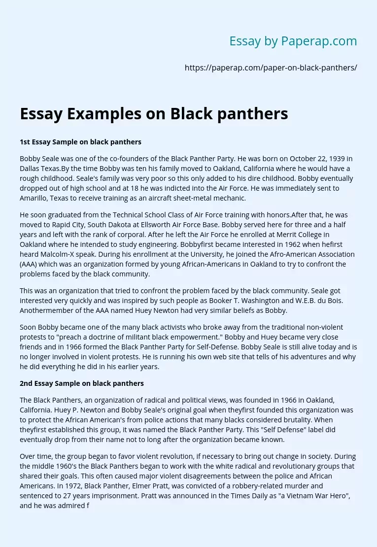 Essay Examples on Black panthers