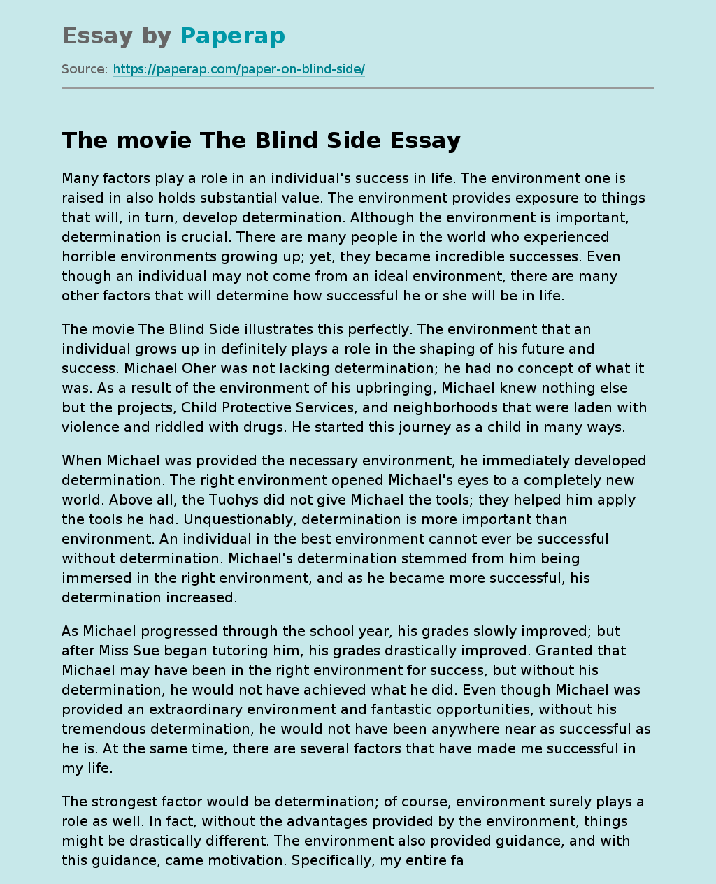 the blind side essay