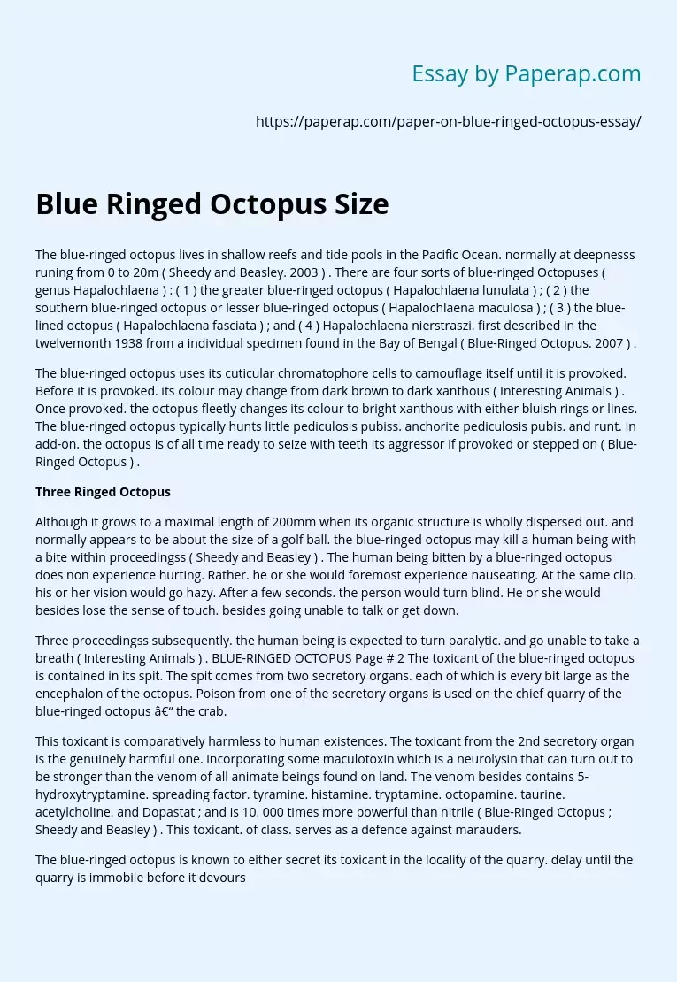 Blue Ringed Octopus Size