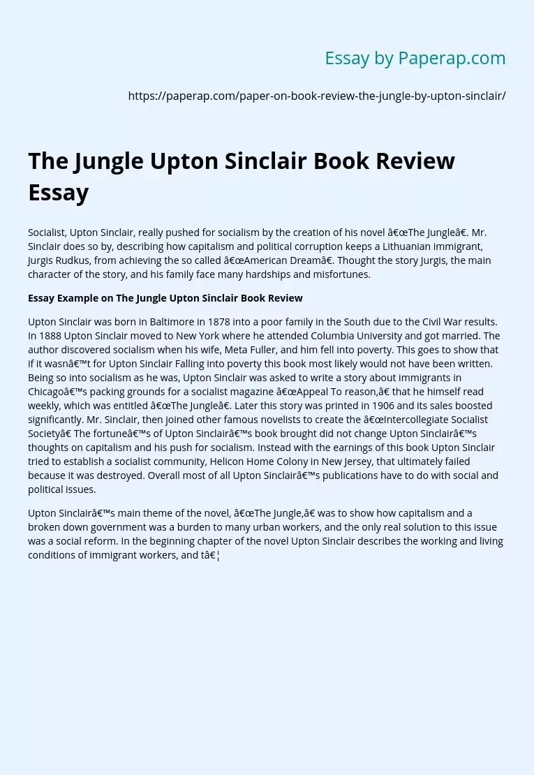 The Jungle Upton Sinclair Book Review Essay
