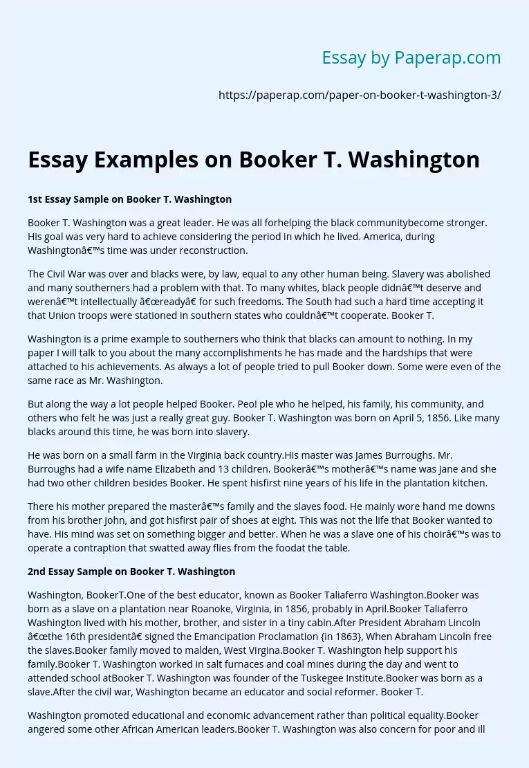 Essay Examples on Booker T. Washington