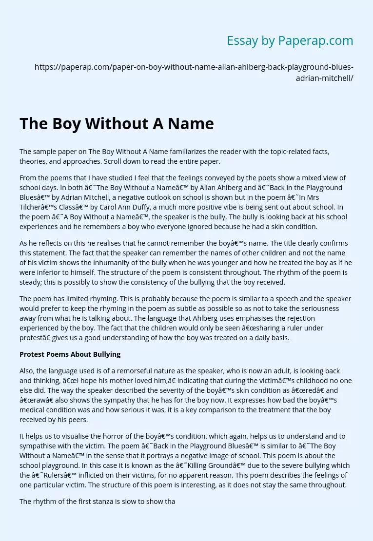 Sample Paper on the Boy Without a Name