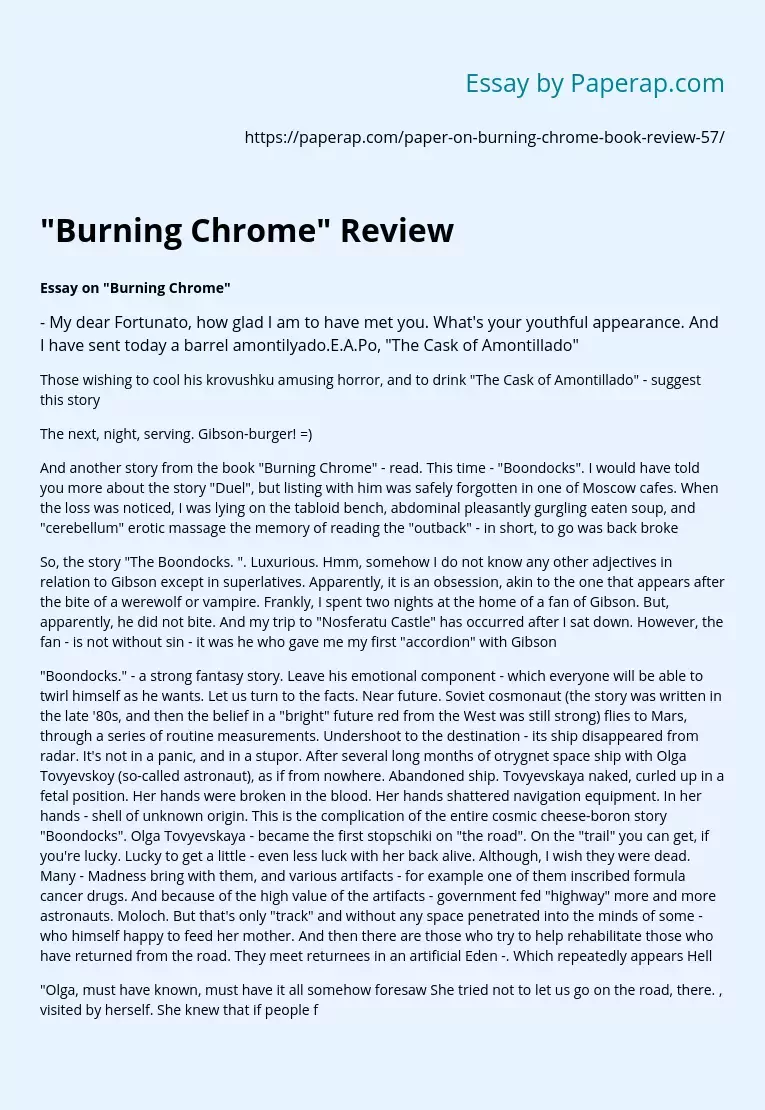 "Burning Chrome" Review Essay