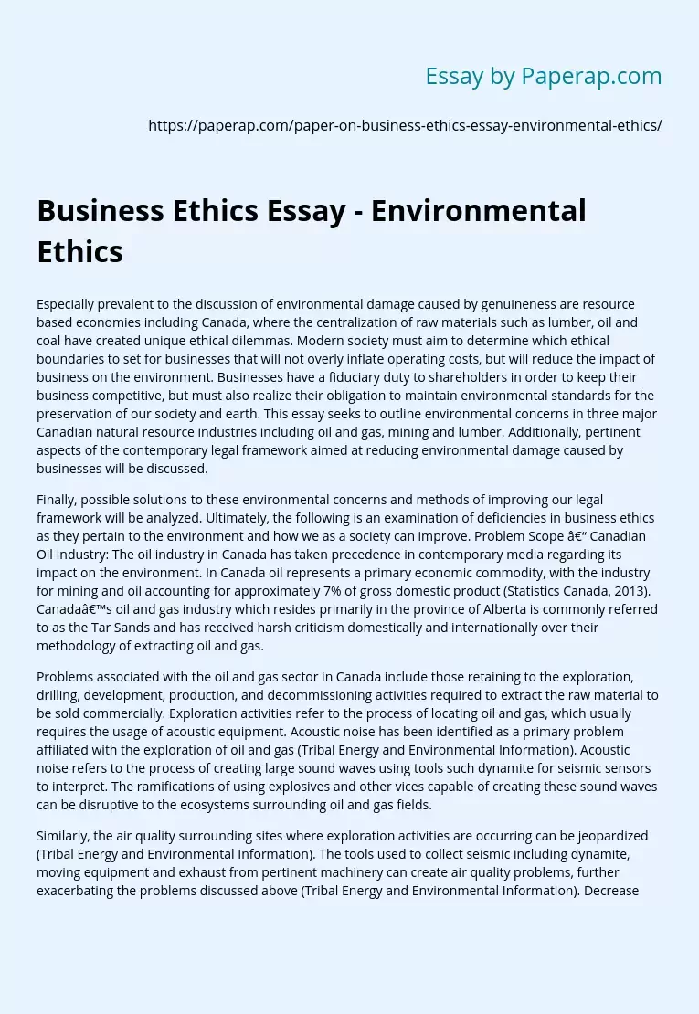 Business Ethics Essay - Environmental Ethics