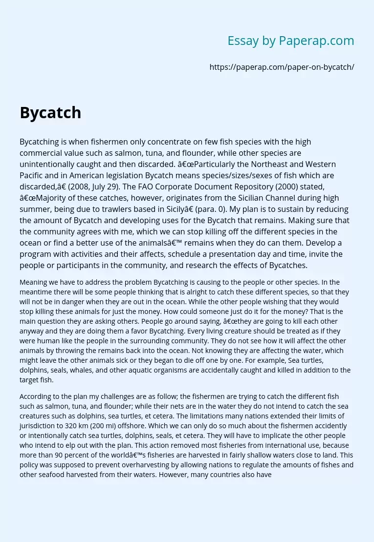 Bycatch
