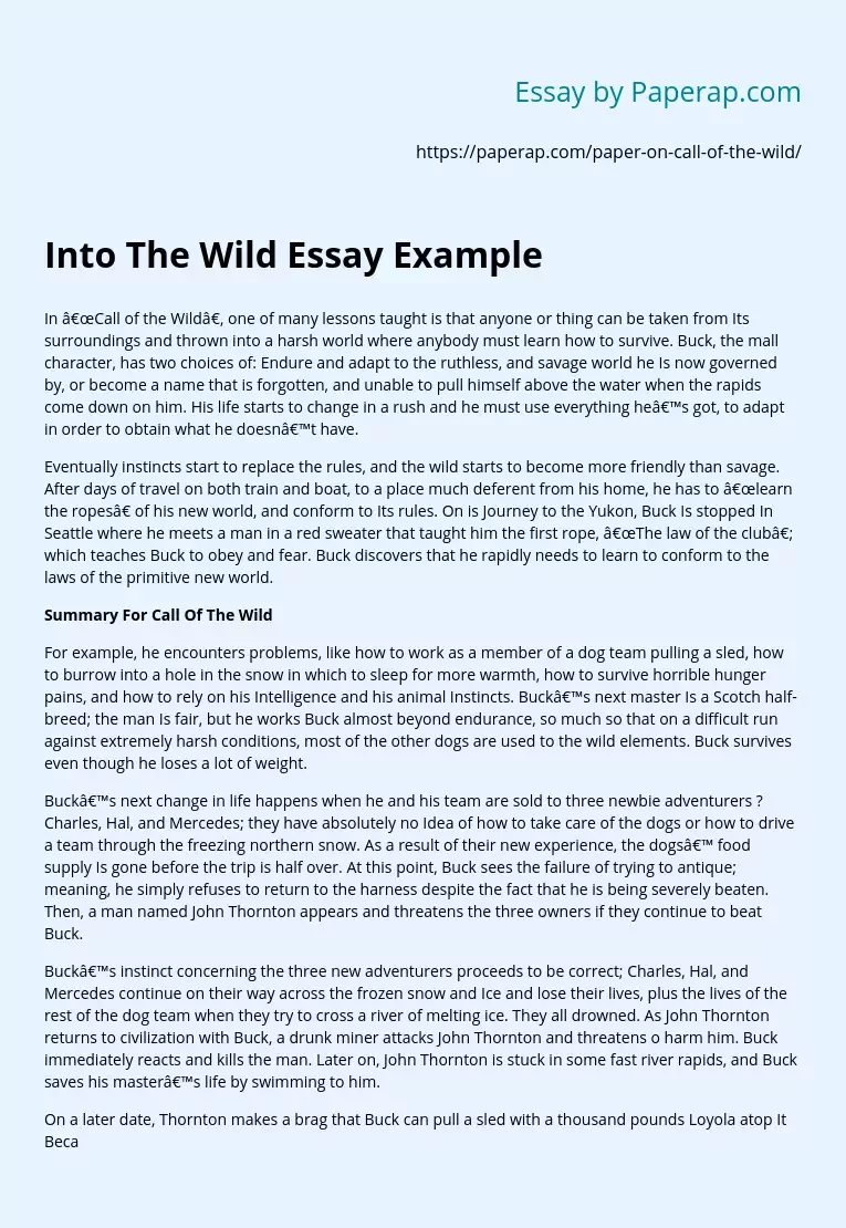 Into The Wild Essay Example