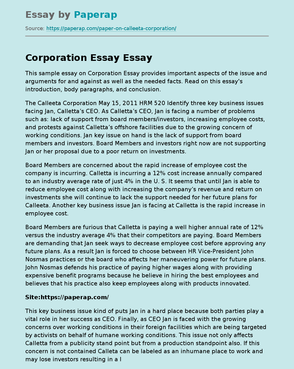 Corporation Essay