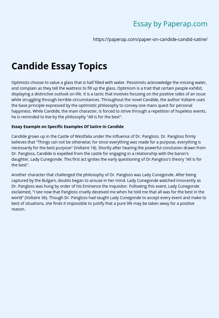 Candide Essay Topics