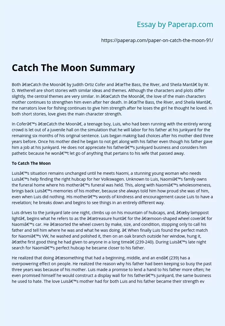 Catch The Moon Summary