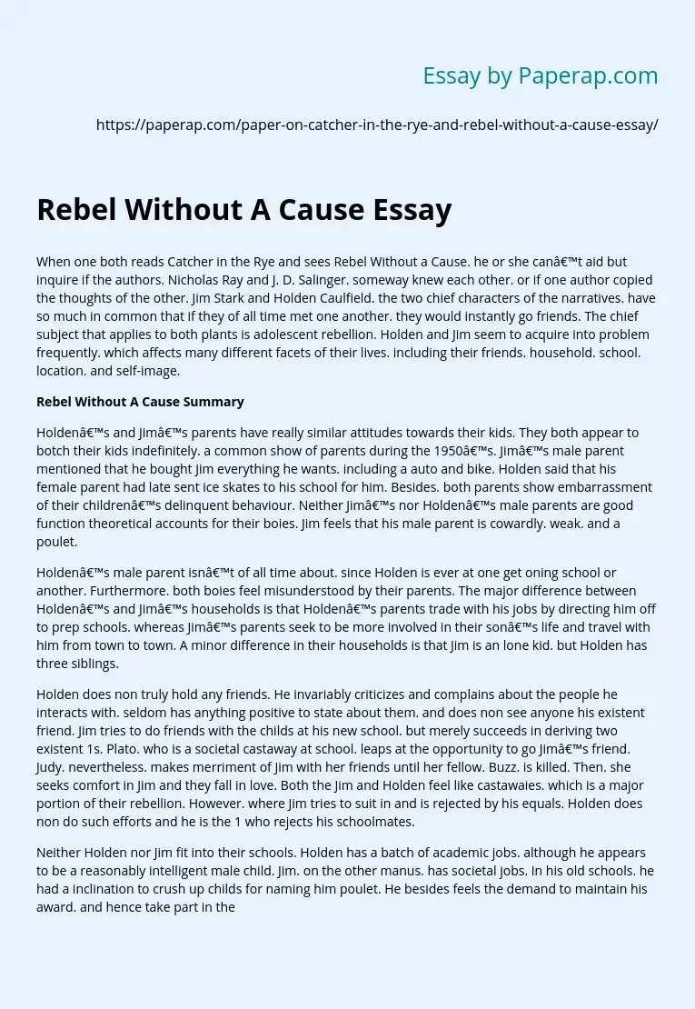 Rebel Without A Cause Essay