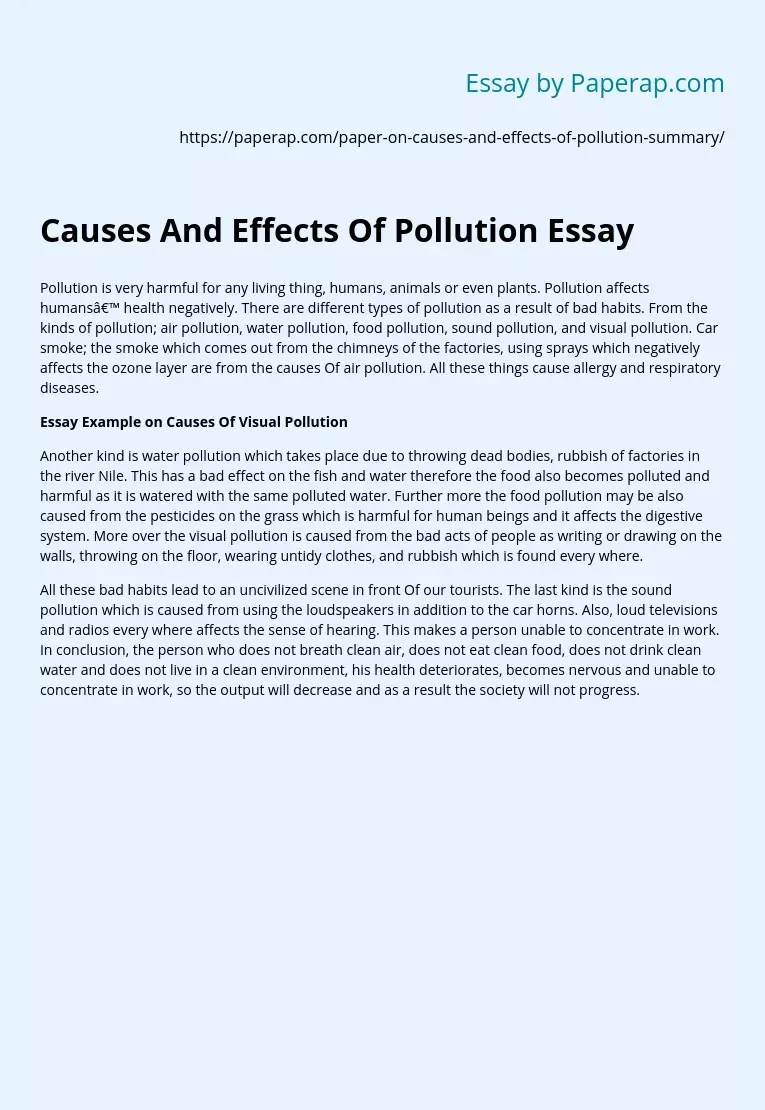Causes And Effects Of Pollution Essay