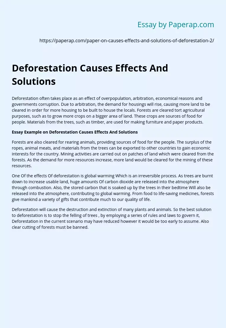deforestation essay solutions