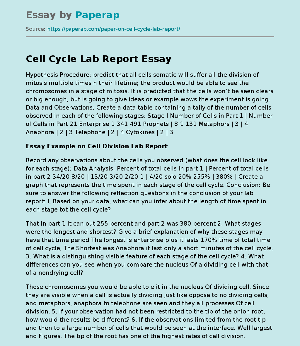 Cell Cycle Lab Report