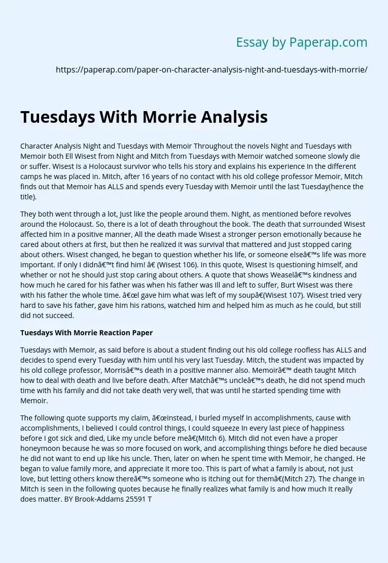Tuesdays With Morrie Analysis