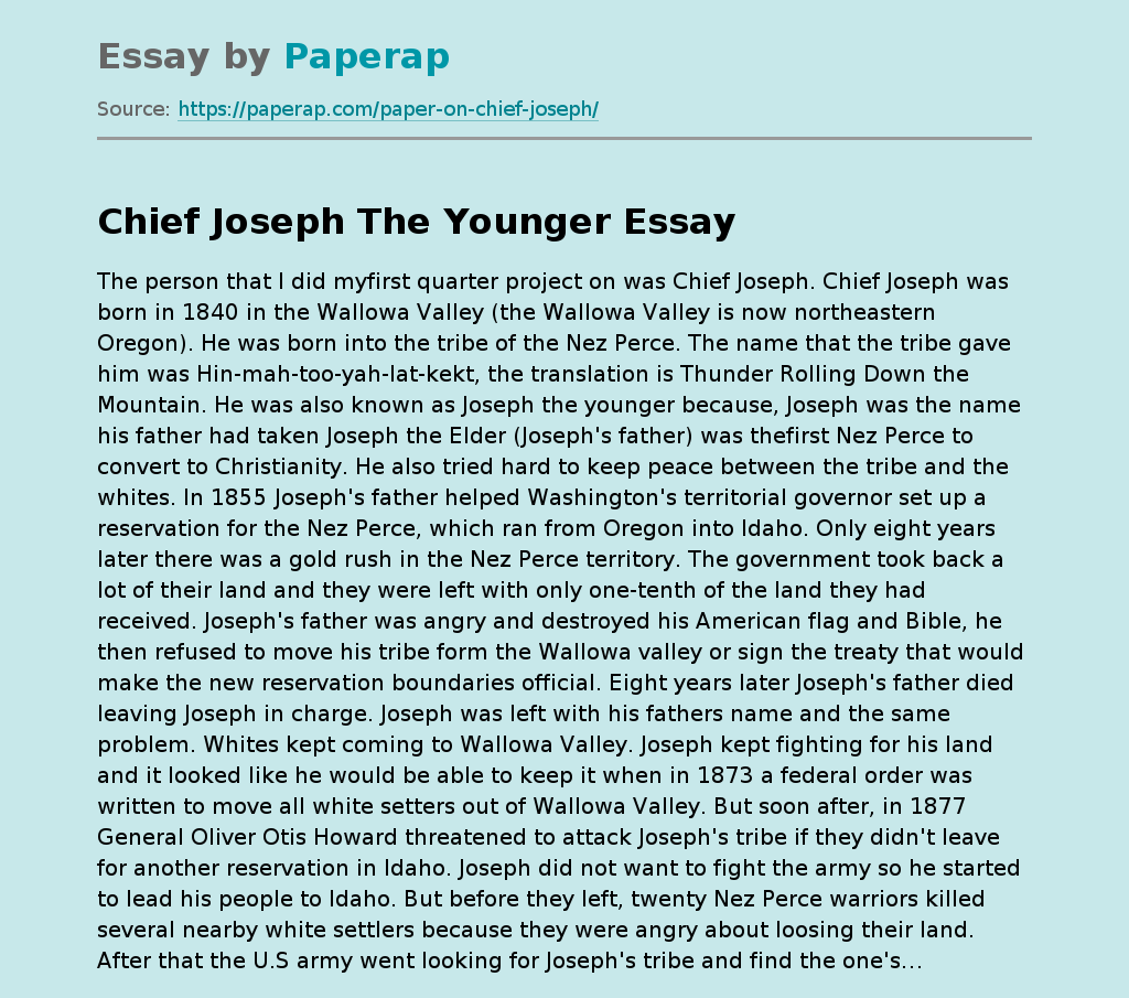 essay about a chief