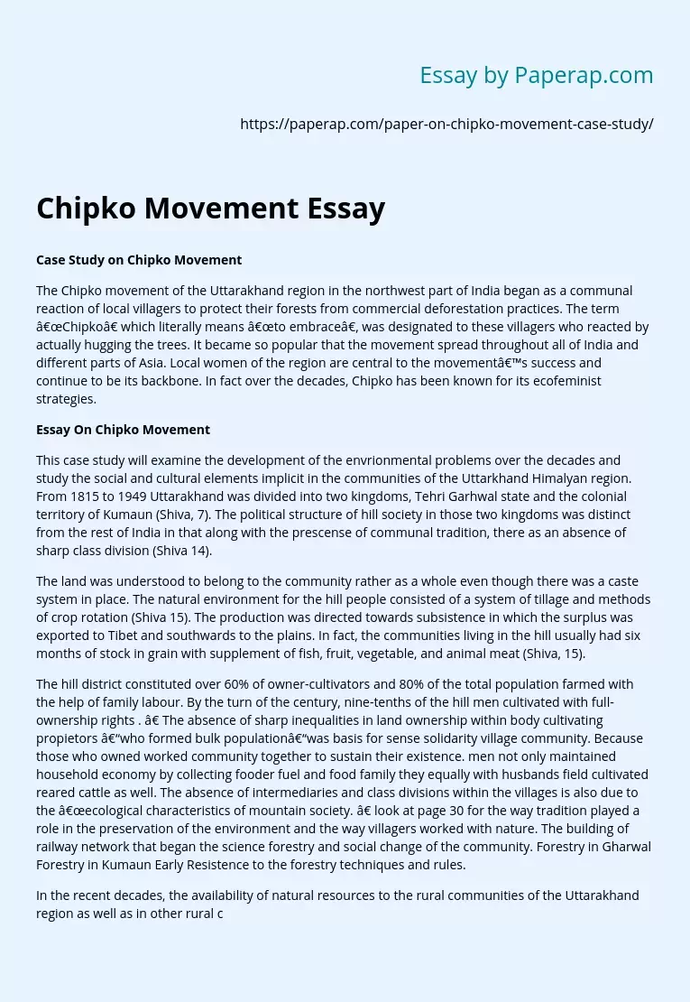 chipko movement essay writing