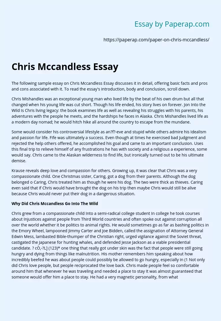 Chris Mccandless Essay