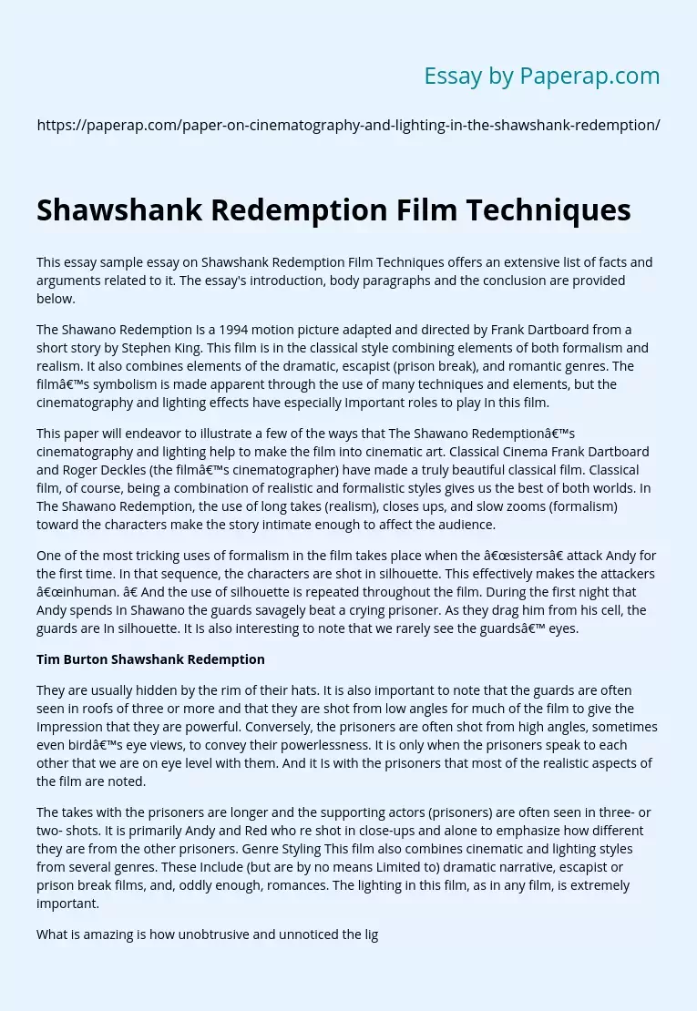 Shawshank Redemption Film Techniques
