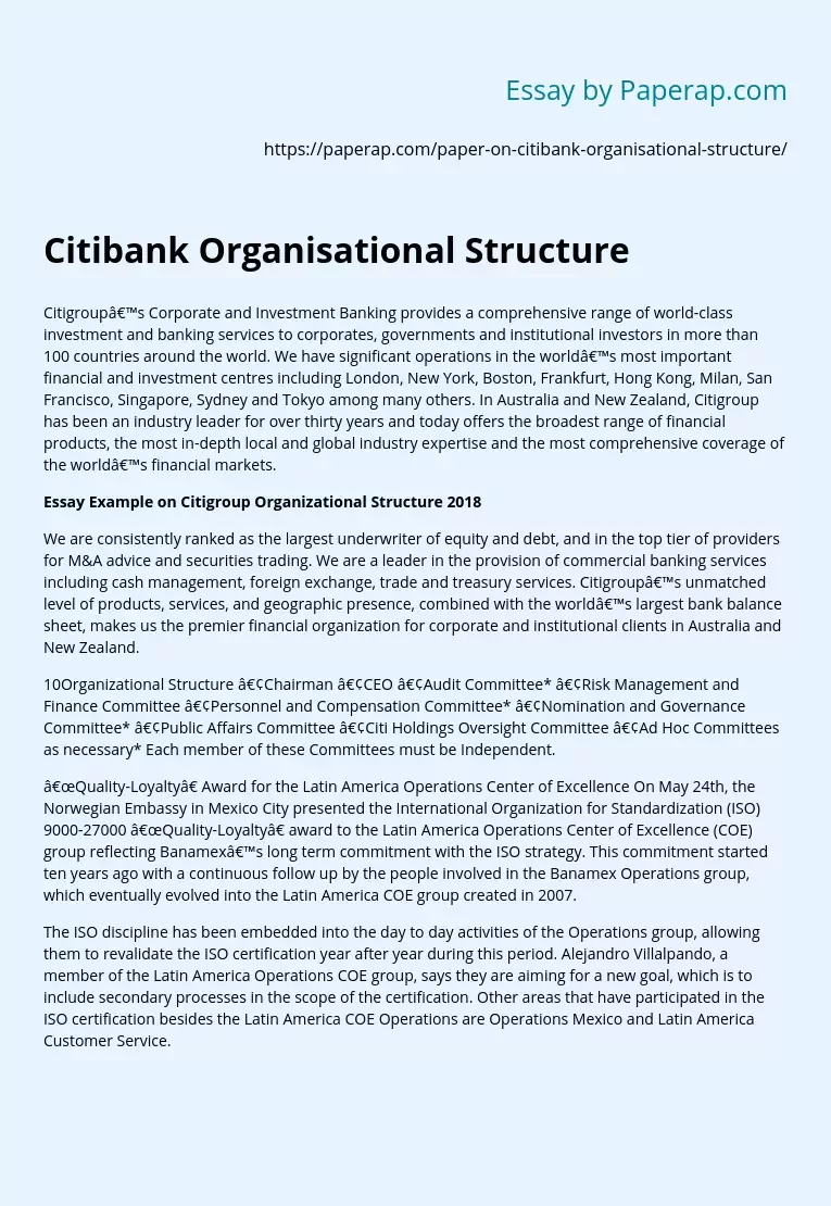 Citibank Organisational Structure