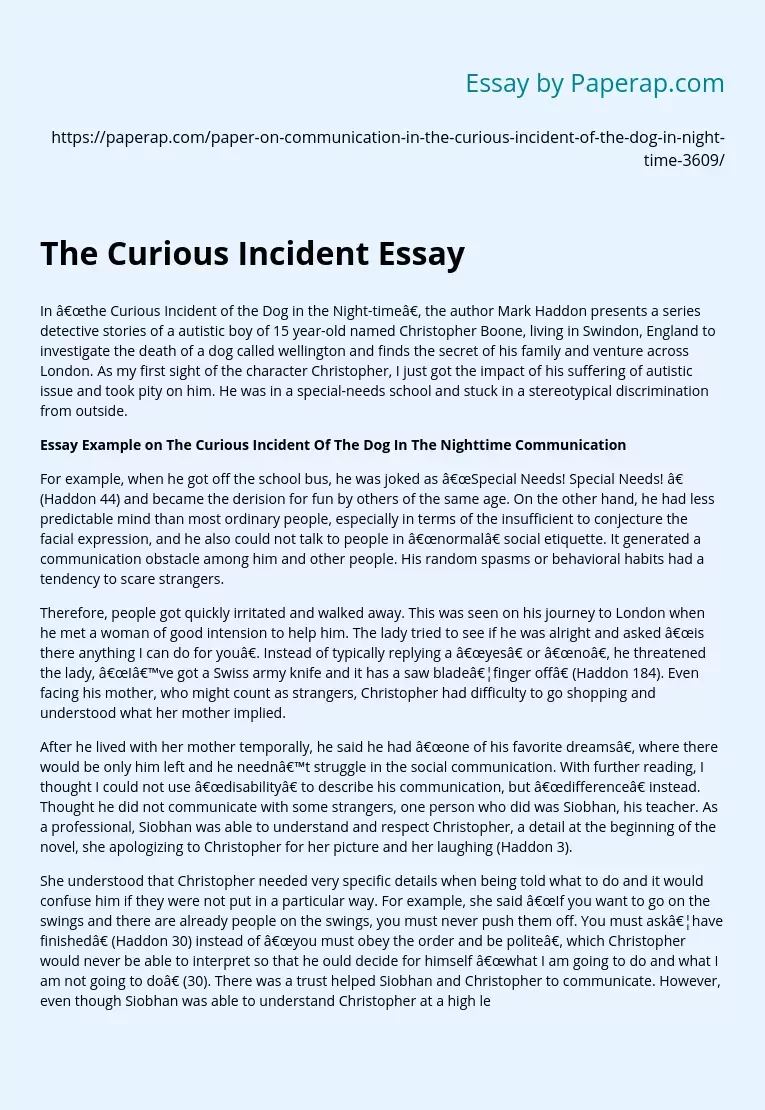 The Curious Incident Essay
