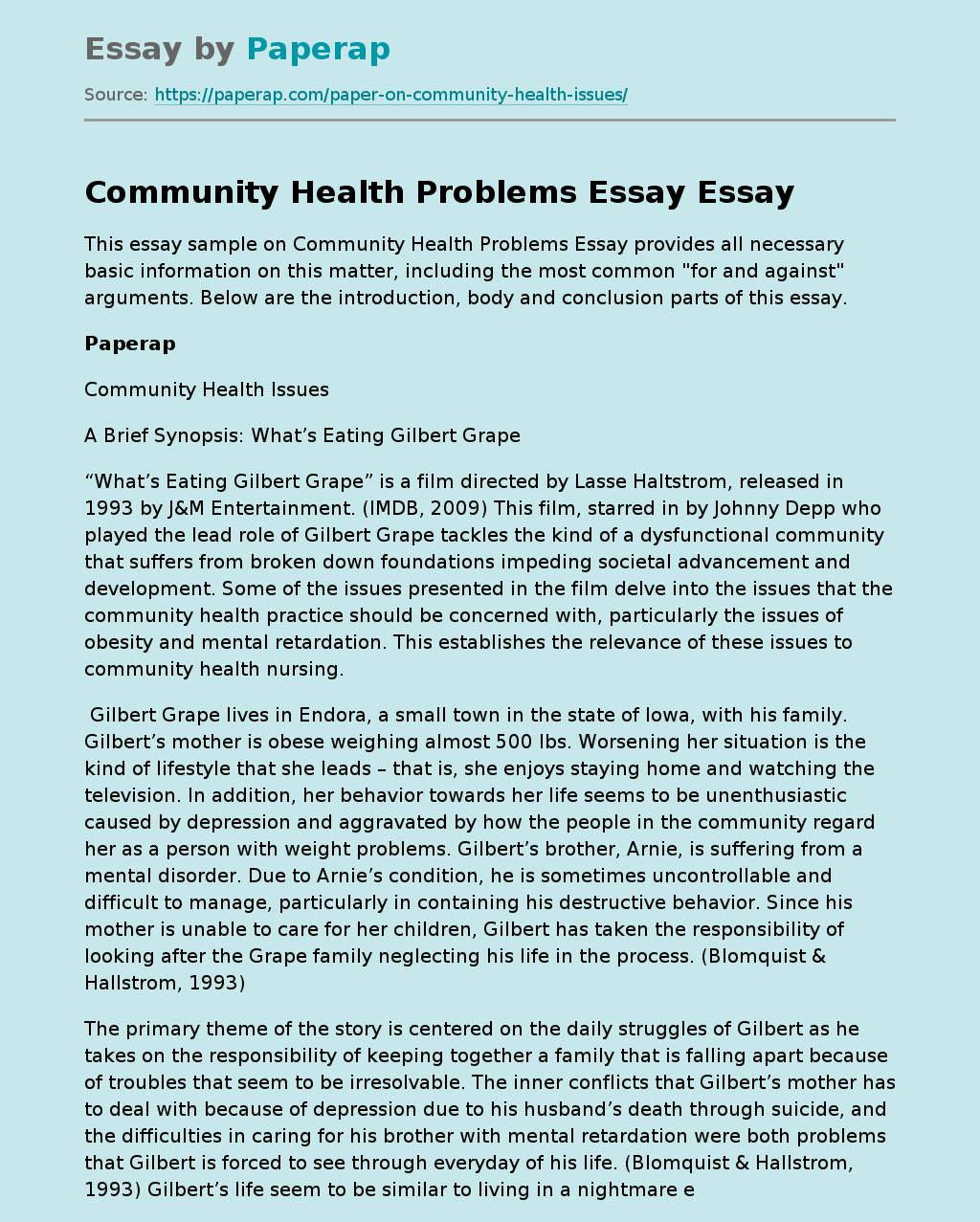 Community Health Problems Essay